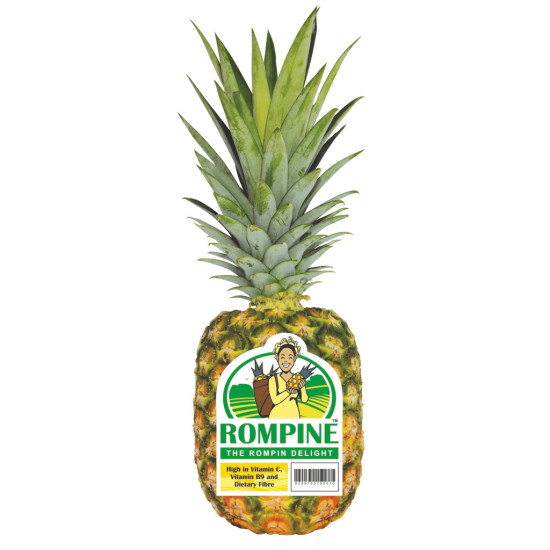 ROMPINE PINEAPPLE-MD2 S10