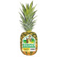 ROMPINE PINEAPPLE-MD2 S10