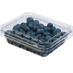 USA BLUEBERRY 125GM USA BLUEBERRY 125GM