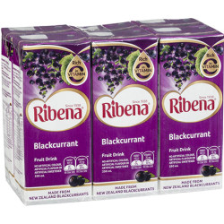 RIBENA REGULAR 200ML*20+4