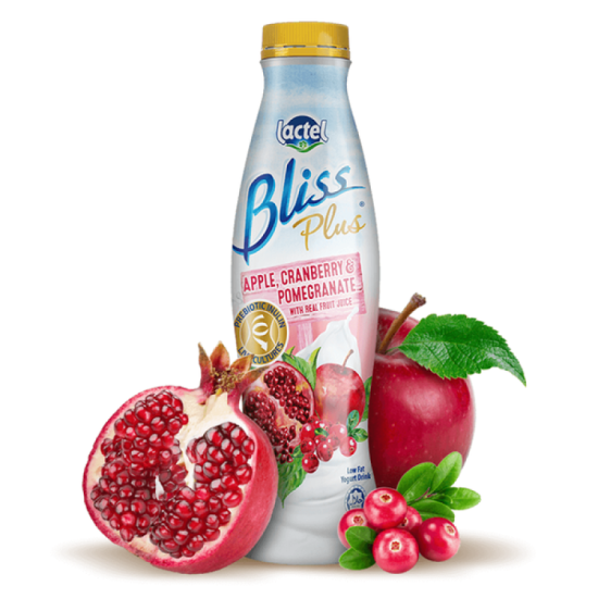 LACTEL BLISS PLUS APPLE, CRANBERRY & POMEG 700G