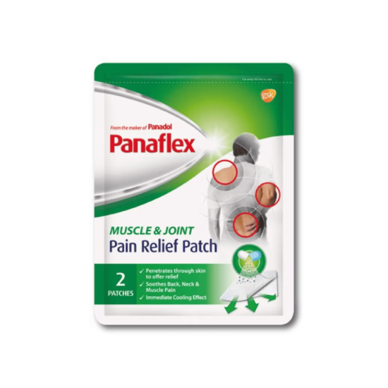 PANAFLEX PAIN RELIEF PATCH 2'S