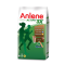 ANLENE REGULAR CHOCOLATE 550G ANLENE REGULAR CHOCOLATE 550G