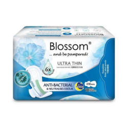 BLOSSOM NIGHT ULTRA THIN WING 410MM 10'S