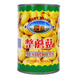 FERRY BUTTON MUSHROOM (LITO) 425GM FERRY BUTTON MUSHROOM (LITO) 425GM