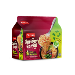 CINTAN VEGETARIAN CURRY 71GM*5