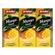 DRINHO MANGO 250ML*6*4