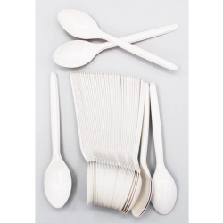 ECONOMICAL DISPOSABLE SPOON 6 INCHES ECONOMICAL DISPOSABLE SPOON 6 INCHES