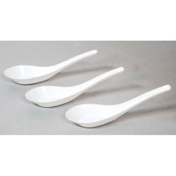 ECONOMICAL DISPOSABLE SOUP SPOON 50PCS ECONOMICAL DISPOSABLE SOUP SPOON 50PCS