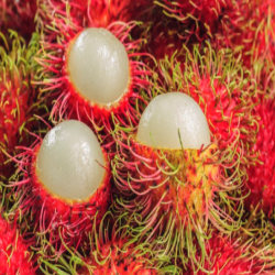 RAMBUTANS 1KG