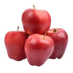 USA RED DELICIOUS APPLE 125 (6S) USA RED DELICIOUS APPLE 125 (6S)