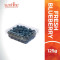 BLUEBERRY 125GM BLUEBERRY 125GM