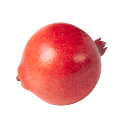 INDIA POMEGRANATE 1S INDIA POMEGRANATE 1S