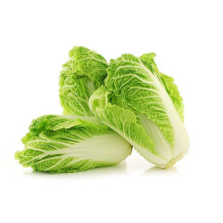 CAMERON LONG CABBAGE  CAMERON LONG CABBAGE