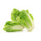 CAMERON LONG CABBAGE  CAMERON LONG CABBAGE