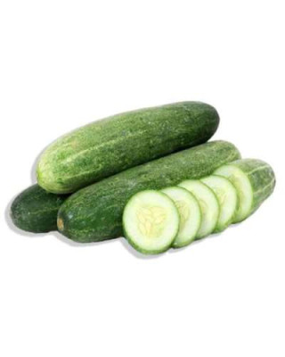 CUCUMBER/TIMUN 