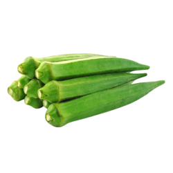 LADY FINGER / BENDI  LADY FINGER / BENDI