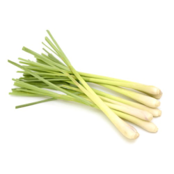 LEMON GRASS /SERAI  LEMON GRASS /SERAI