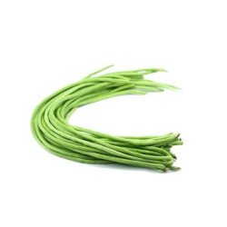 LONG BEAN /KACANG PANJANG  LONG BEAN /KACANG PANJANG