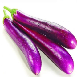 RED LONG BRINJAL /TERUNG PANJANG  RED LONG BRINJAL /TERUNG PANJANG