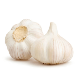 WHITE GARLIC  WHITE GARLIC