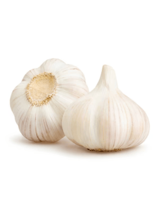 WHITE GARLIC 