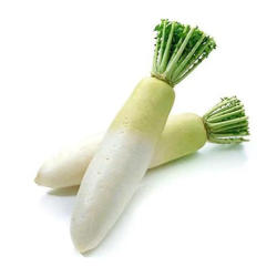 CAMERON WHITE RADISH  CAMERON WHITE RADISH