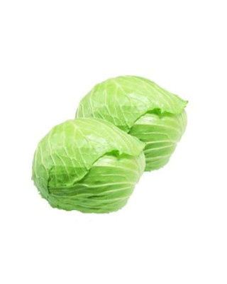 CHINA ROUND CABBAGE