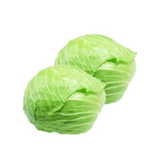 CHINA ROUND CABBAGE