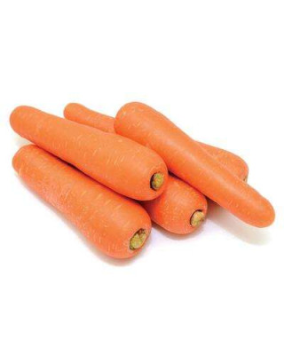 FRESH CARROT