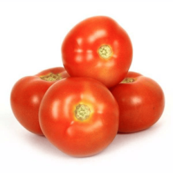 CAMERON TOMATO  CAMERON TOMATO