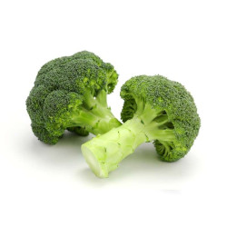 CHINA BROCCOLI  CHINA BROCCOLI