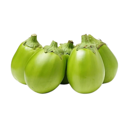 GREEN ROUND BRINJAL