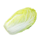 CHINA LONG CABBAGE 1KG