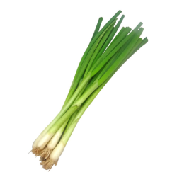 VEGE2FRESH SPRING ONION 80GM VEGE2FRESH SPRING ONION 80GM