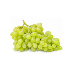 PREPACK GREEN SEEDLESS GRAPE 500GM PREPACK GREEN SEEDLESS GRAPE 500GM
