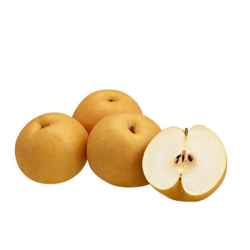 SINGO PEAR'S 42 (5S) SINGO PEAR'S 42 (5S)