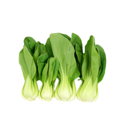 VEGE2FRESH SIEW PAK CHOY 250GM VEGE2FRESH SIEW PAK CHOY 250GM