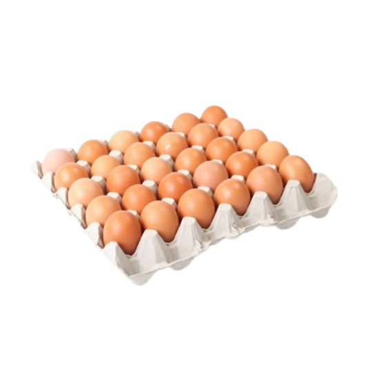 NUTRIPLUS EGG GRED B 30S