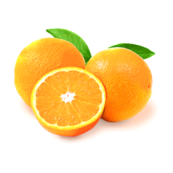 EGYPT NAVEL ORANGE 88 (8S) EGYPT NAVEL ORANGE 88 (8S)