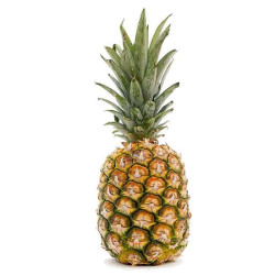 HONEY PINEAPPLE HONEY PINEAPPLE