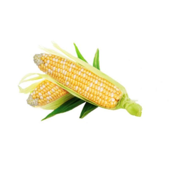 WONDERFUL V&F PEARL CORN (3PCS)