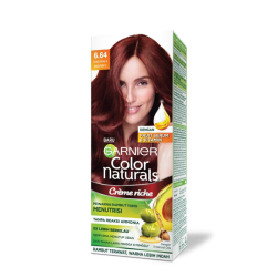 GARNIER 6.64 MERAH BERRY (KIT) 1'S GARNIER 6.64 MERAH BERRY (KIT) 1'S