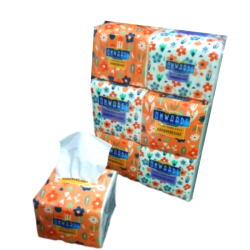 ONWARDS MINI PACK 150S *10 ONWARDS MINI PACK 150S *10