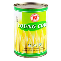 MS BRAND YOUNG CORN 425GM MS BRAND YOUNG CORN 425GM