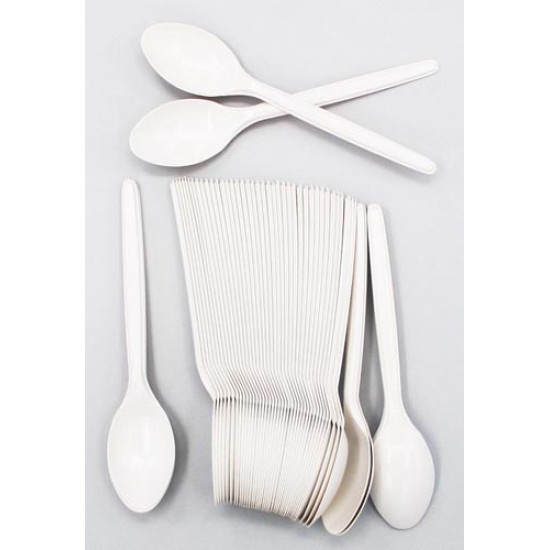 ECONOMICAL DISPOSABLE SPOON 6 INCHES