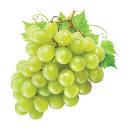 PREMIUM  SHINE MUSCAT GRAPE (GREEN) PREPACK 500GM PREMIUM  SHINE MUSCAT GRAPE (GREEN) PREPACK 500GM