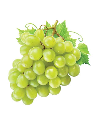 PREMIUM  SHINE MUSCAT GRAPE (GREEN) PREPACK 500GM