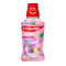 COLGATE PLAX MOUTHWASH - FRUITY FRESH 250ML COLGATE PLAX MOUTHWASH - FRUITY FRESH 250ML