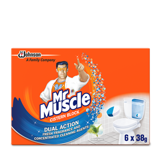 MR MUSCLE - IN CISTERN BLOCK 38GM*6S